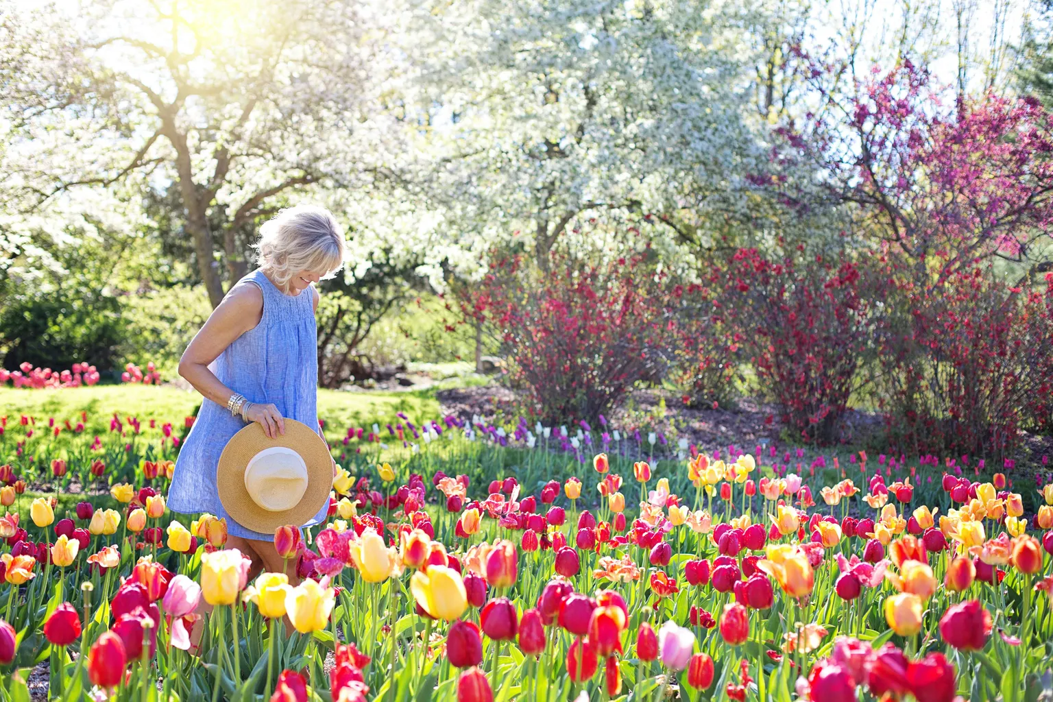 Frau geht durch ein Blumenbeet – Beetgestaltung von Gartenlandschaftsbau Matthias Nonte