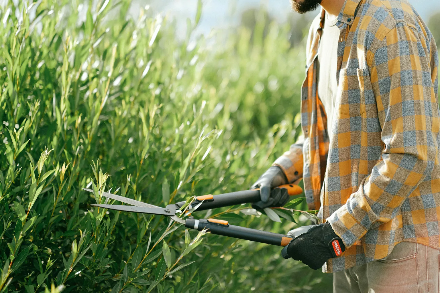 Mann schneidet eine Hecke – Grünpflege von Gartenlandschaftsbau Matthias Nonte